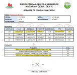 Reporte PDF.jpg