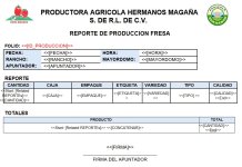 Reporte 2 PDF.jpg